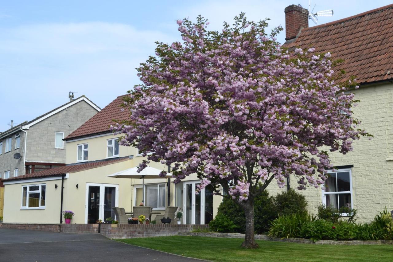The Lawns Tea Room And B&B Ashcott Buitenkant foto