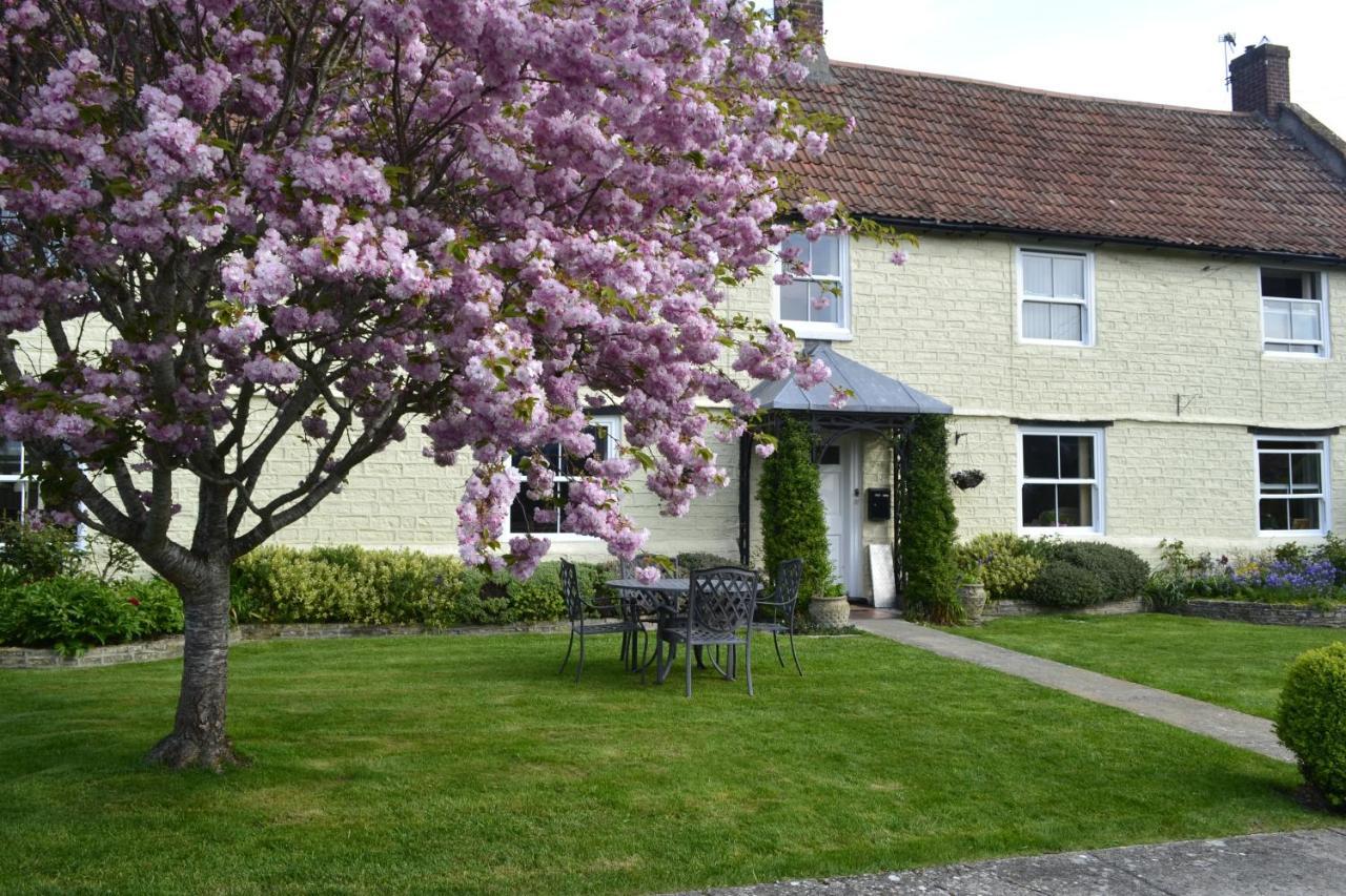 The Lawns Tea Room And B&B Ashcott Buitenkant foto